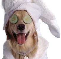 Stacks Image 1104